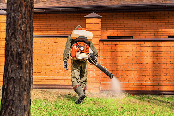 Bed Bug Clearance Verification and Documentation in Martinsburg